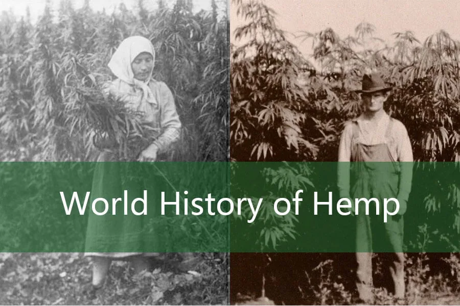 L'histoire du développement du chanvre et de l'utilisation des produits 5 World History of Hemp