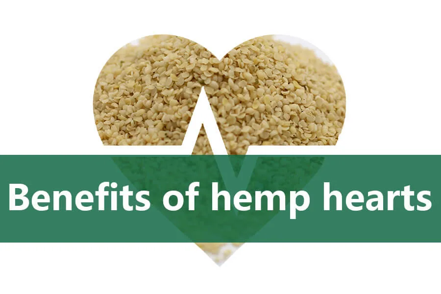4 avantages les plus importants des cœurs de chanvre! 7 benefits of hemp hearts