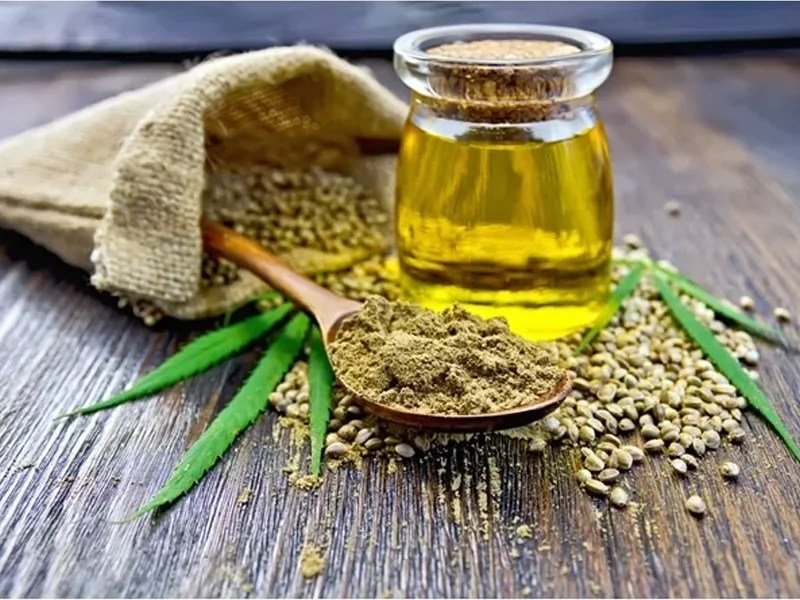 La durabilité par la culture biologique du chanvre et la production d’huile de graines de chanvre 2 hemp seed oil