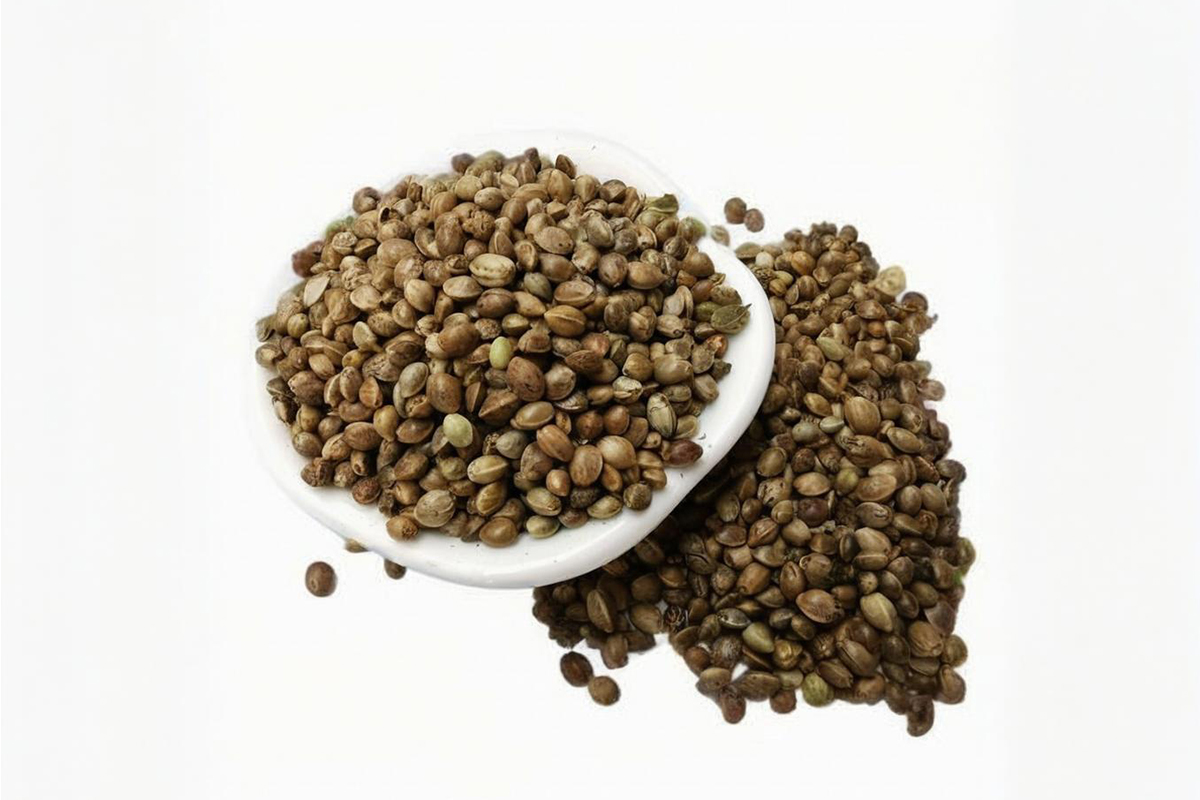graines de chanvre biologiques