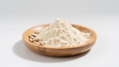 poudre de protéines de graines de tournesol biologiques