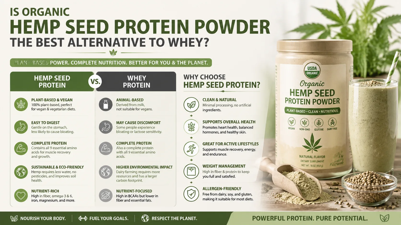 La protéine bio de graines de chanvre en poudre est-elle la meilleure alternative au lactosérum ? 12 Is Organic Hemp Seed Protein Powder the Best Alternative to Whey